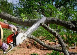 Landscape Design and Installation in Three Points, AZ